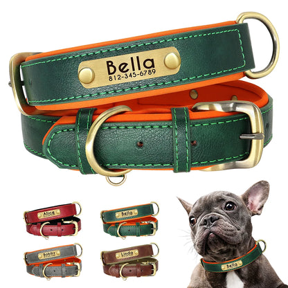 Personalized Dog Collar