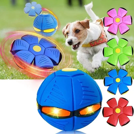 Interactive Pet Ball