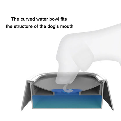 Dog and Cat Drinking Water Bowl Floating