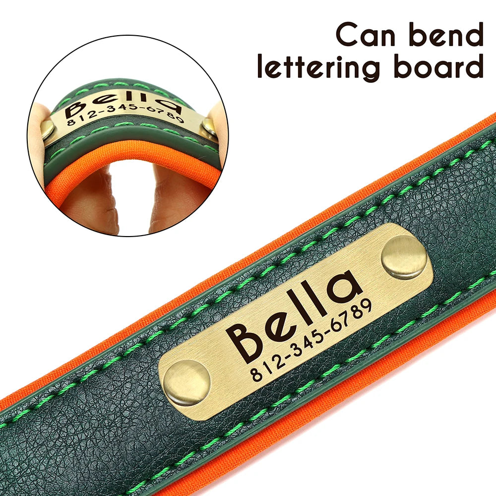 Personalized Dog Collar